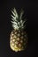 Pineapple isolated on black. Fresh exotic, tropical fruit with copy space. Dark photo. Summer fruit