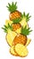 Pineapple isolated, Vector, composition.