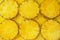 Pineapple juicy yellow slices as a background