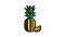 pineapple one cut slice color icon animation