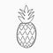 Pineapple - one line drawing. Continuous line tropical fruit. Hand-drawn minimalist illustration.