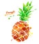 Pineapple with paint splashes