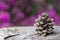 A pineapple with purple defocused background