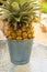 Pineapple put in aluminum bucket placed on glass table