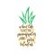 Pineapple quote vector illustration graphic icon