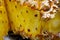Pineapple raw material details skin Macro photo