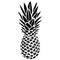 A pineapple. Realistic black silhouette in a flat style on a white isolate. Design for greeting cards