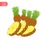 Pineapple realistic fruit with slice. Vector illustration. ananas ripe tropical exotic Juicy fresh food, vitamin healthy dieting.