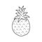 Pineapple simple Fruits food vector illustration