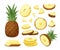 pineapple. sliced healthy natural products. Vector juicy pineapple set in cartoon style
