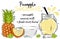 Pineapple smoothie recipe with illustration of ingredients. Healthy food poster