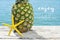 Pineapple and starfish on a pier and text enjoy summer