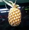 Pineapple summer best healthy fruits.