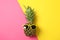 Pineapple with sunglasses on two tone background