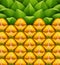 Pineapple texture pattern