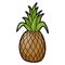 Pineapple tropical aromatic large juicy sweet fruit