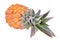 Pineapple tropical fruit or ananas isolated