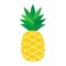 Pineapple tropical fruit vector illustration