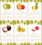 Pineapple Tropical Plant Edible Fruit Posters Text