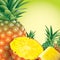 Pineapple vector illustration on green background.