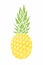 Pineapple - vintage icon. Cartoon drawing. Yellow ripe fruit wit