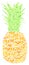 Pineapple Vitamins Concept