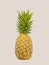Pineapple for Walls