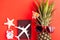 Pineapple wear red sunglasses, model plane, starfish, passport and clock alarm