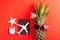 Pineapple wear red sunglasses, model plane, starfish, passport and clock alarm