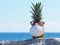 Pineapple wears protective mask on the rock beach near blue ocean.