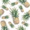 Pineapple on a white background. Watercolor colourful illustration. Tropical fruit. Seamless pattern