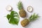 Pineapples, coconuts and palm leaves on white background