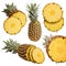 Pineapples collection