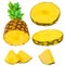 Pineapples isolated. Fresh sliced Pineapple collection isolat