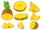 Pineapples isolated. Fresh sliced Pineapple collection isolat