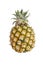 Pineapples isolated on white background : Clipping path