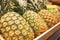 Pineapples in a market of Barcelona