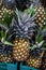 Pineapples in plastic boxes. Trade and export of tropical fruits. Vertical photo. Close-up