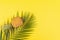 Pineapples and tropical palm leaves on yellow background. Top view, mockup, template, overhead. Summer concept. Creative