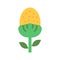 Pineappleweed Icon Image.