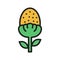 Pineappleweed Icon Image.