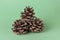 Pinecone  on green background
