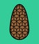 Pinecone  isolated. Wood cone sign vector illustration