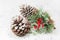 Pinecones and berries in a winter Christmas scene.