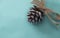 Pinecones Christmas ornament on blue wrapping paper