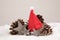 Pinecones in snow with christmas hat and stars