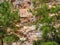 Pines on the cliffs of the Taurus Mountains in Turkey