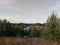 Pines and fields on the sandy shore of the lake. Calm northern latitudes.