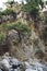 Pines grow on the rocks. Dried waterfall. Mountain landscape. Samaria Gorge Crete, Greece.