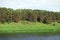 Pines on the hill along the bank of the river of Volga. A summer landscape in the Staritsky area. Tver region.